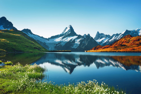 Landscape